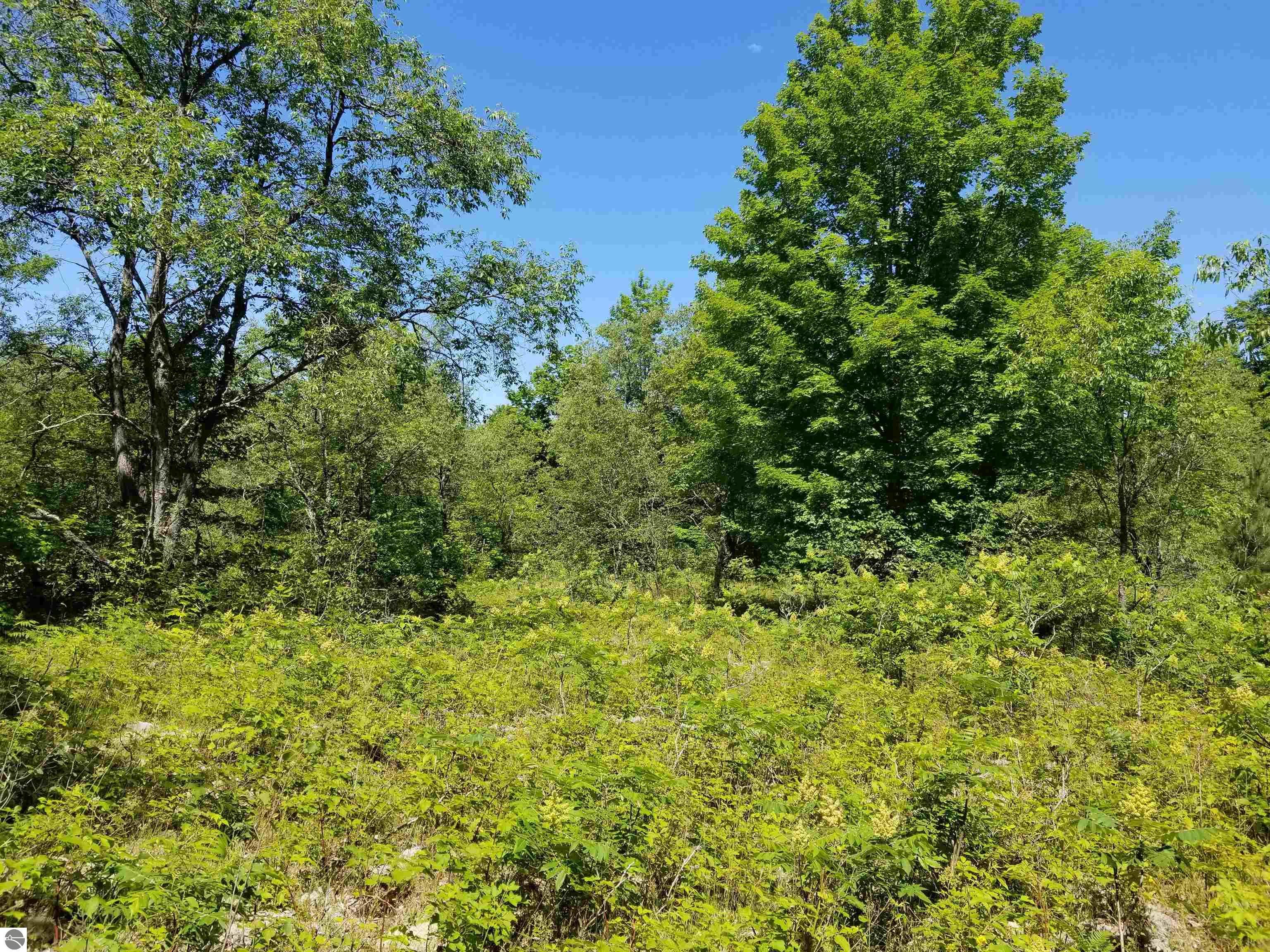 Mancelona, Antrim County, MI Undeveloped Land for sale Property ID