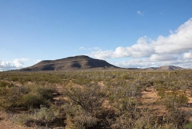 Fort Hancock, Hudspeth County, TX Farms and Ranches, Recreational