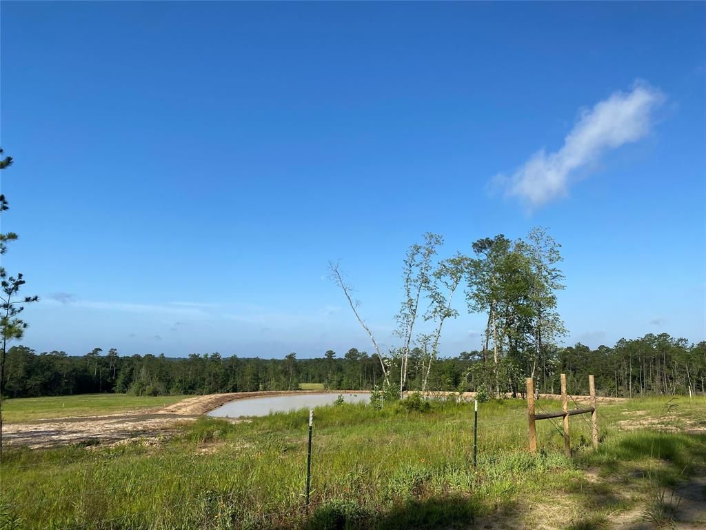 County Road 3000, Woodville, TX 75979 MLS 14139837 LandWatch