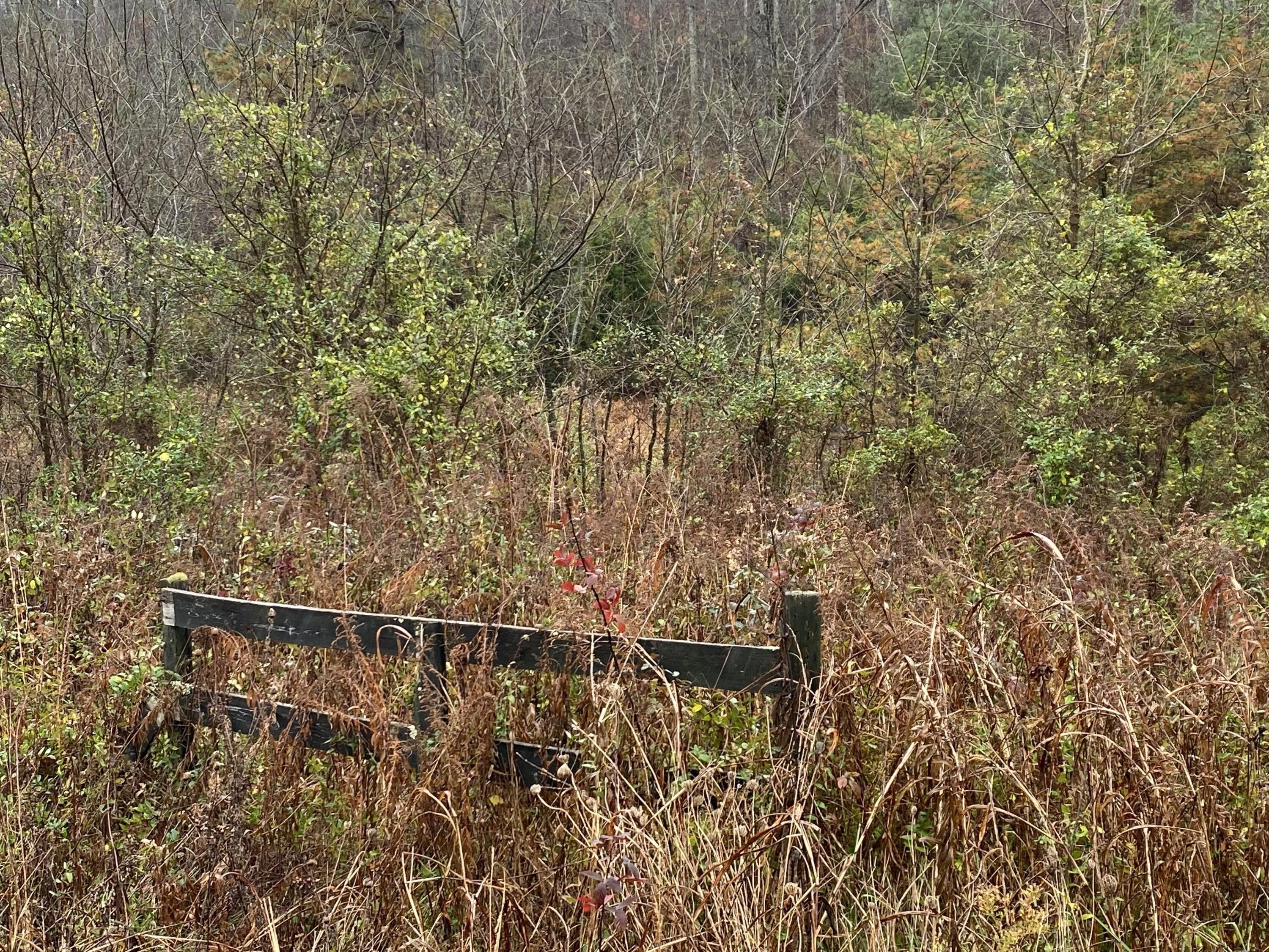 Frenchburg, Menifee County, KY Farms and Ranches for sale Property ID