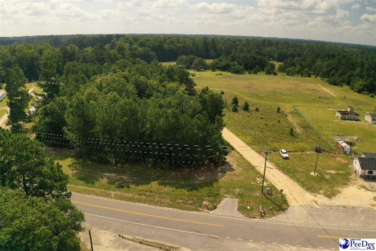 Lake View, Dillon County, SC Undeveloped Land for sale Property ID