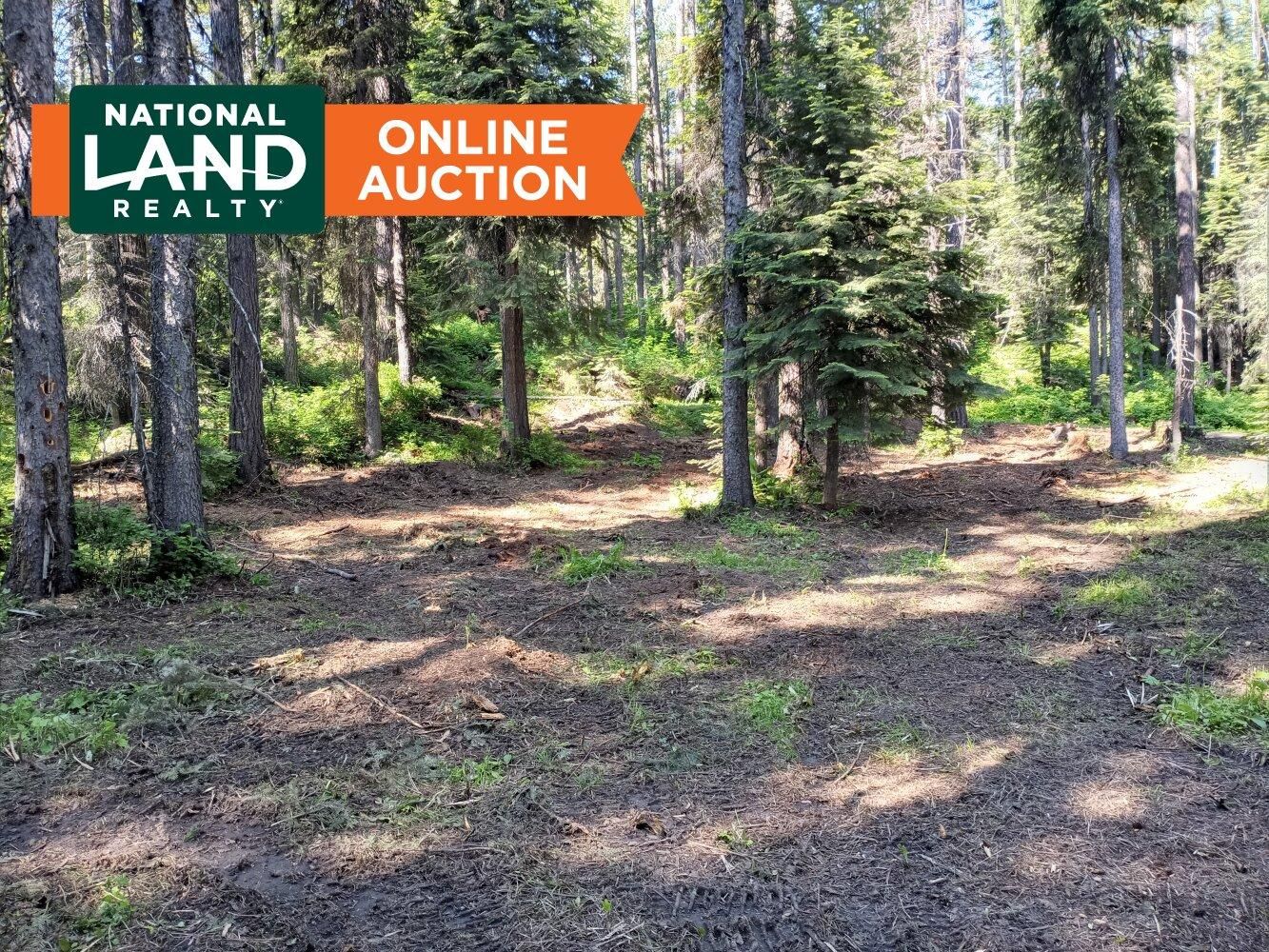 Cascade, Valley County, ID Homesites for auction Property ID 417730223