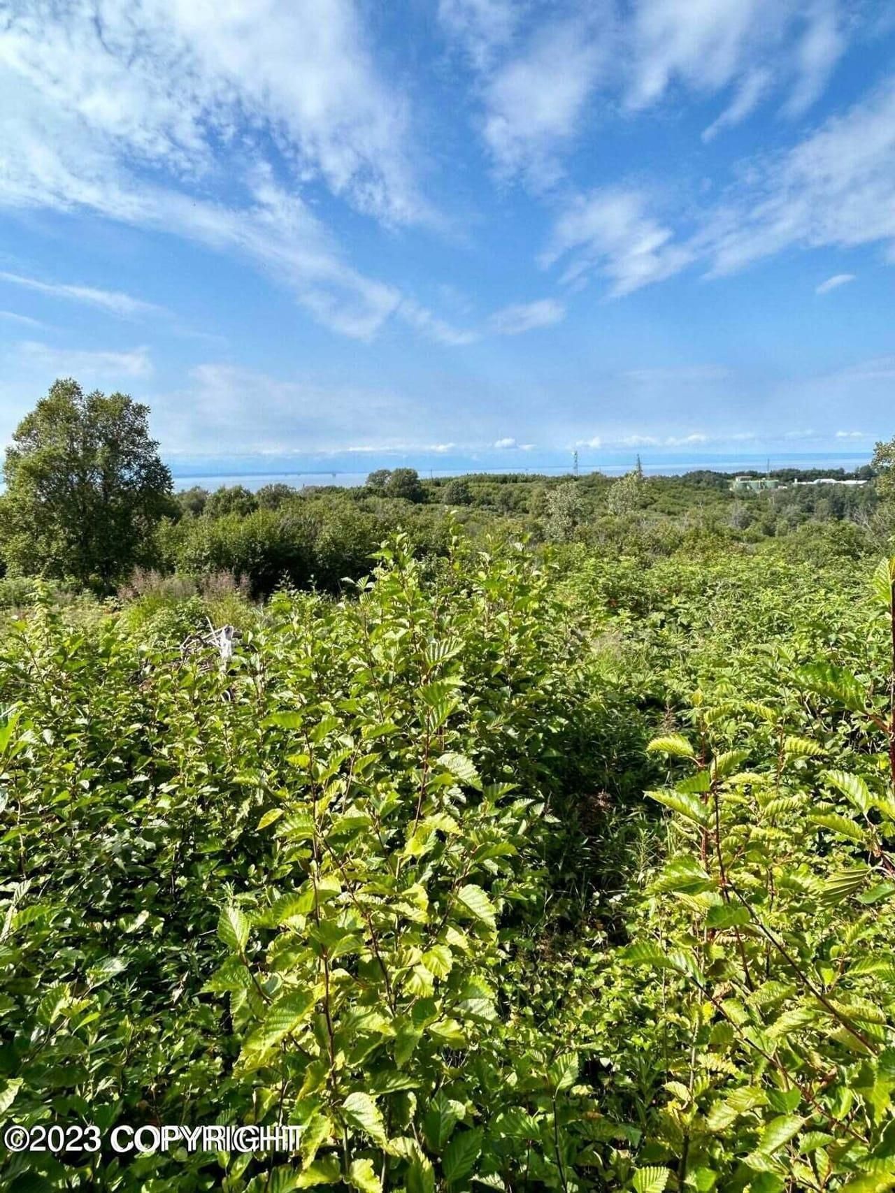 Nikiski, Kenai Peninsula Borough, AK Homesites for sale Property ID