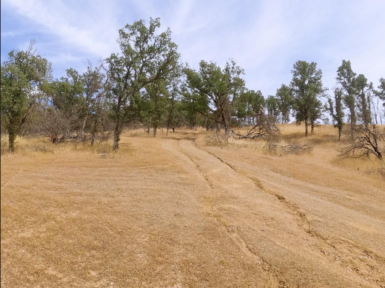 Clearlake Oaks, Lake County, CA Farms and Ranches, Undeveloped Land for sale Property ID