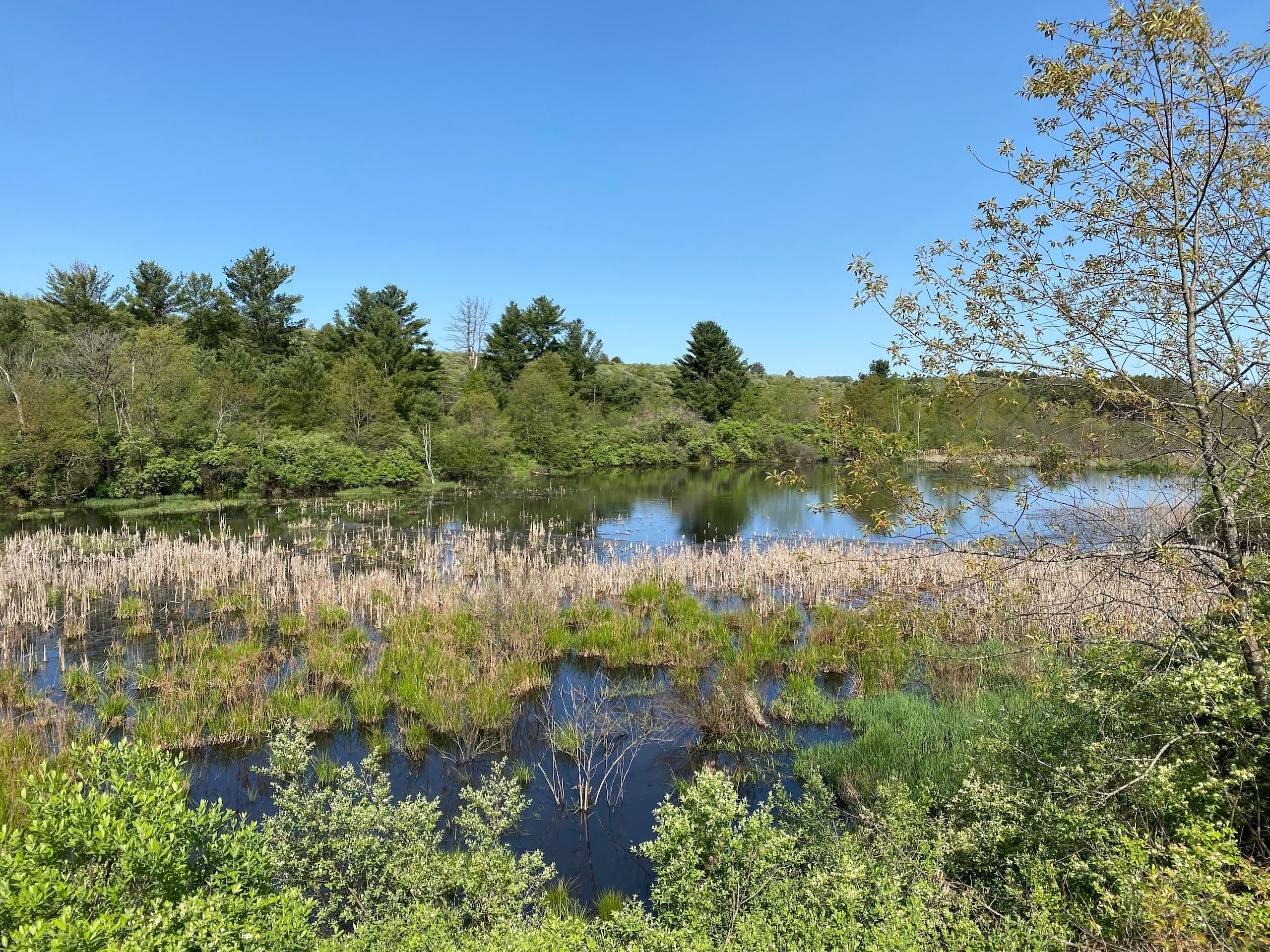 Rimersburg, Clarion County, PA Recreational Property, Timberland