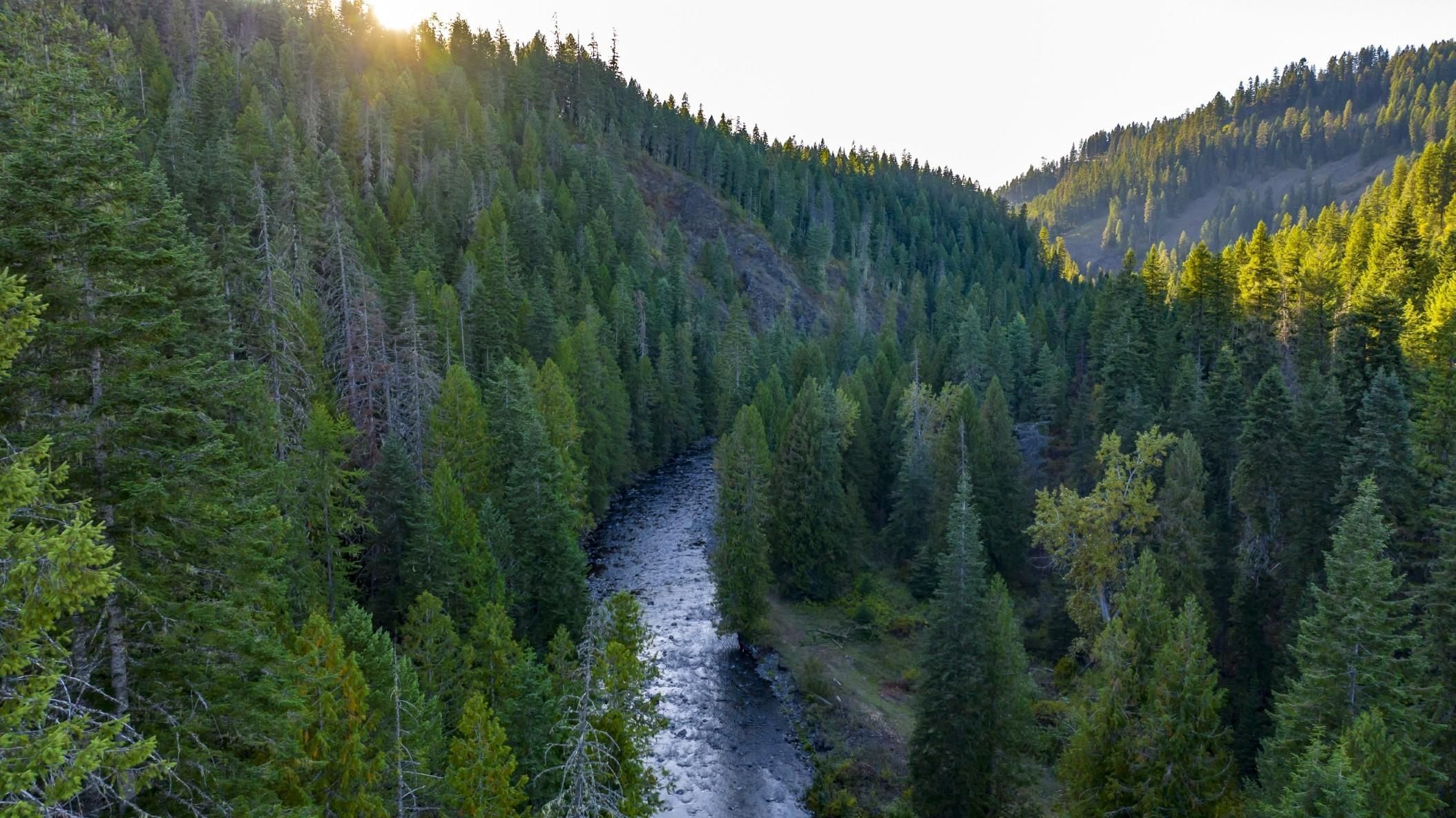 Weippe, Clearwater County, ID Recreational Property, Timberland Property, Undeveloped Land for