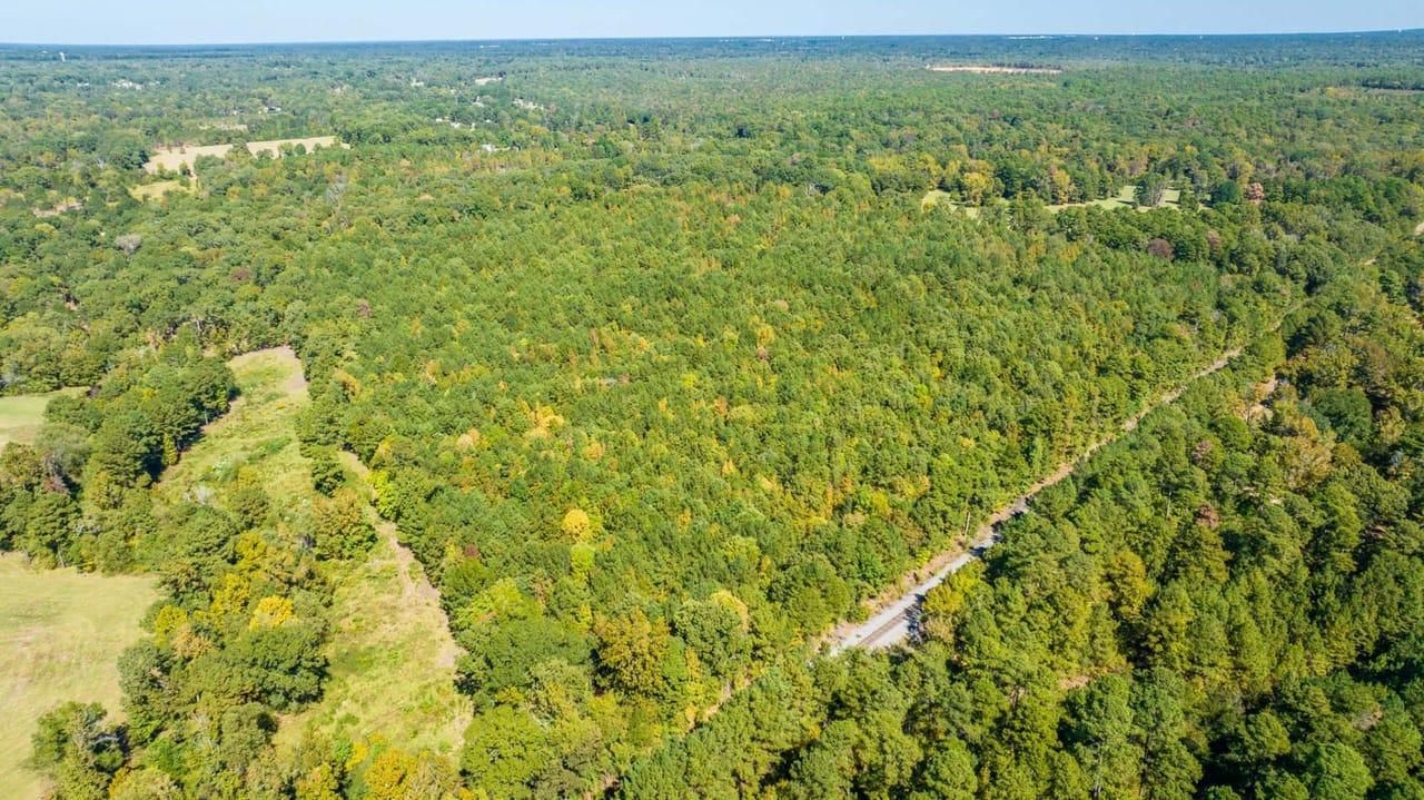 Redwater, Bowie County, TX Recreational Property, Undeveloped Land