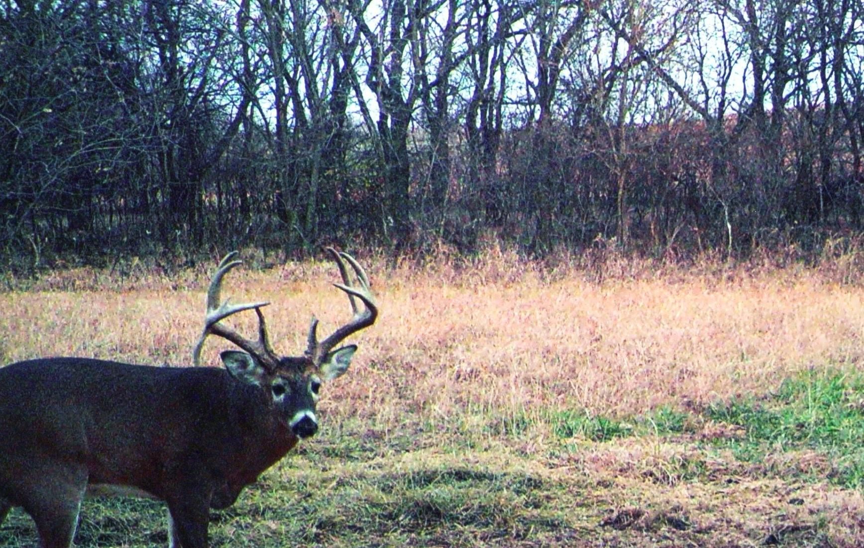 Allen, Lyon County, KS Recreational Property for sale Property ID