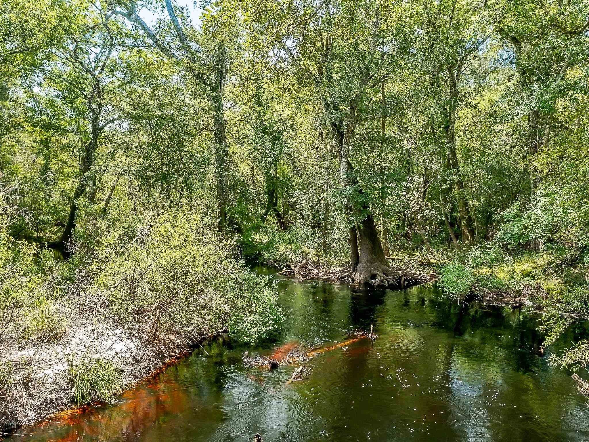 Sopchoppy, Wakulla County, FL Undeveloped Land, Lakefront Property