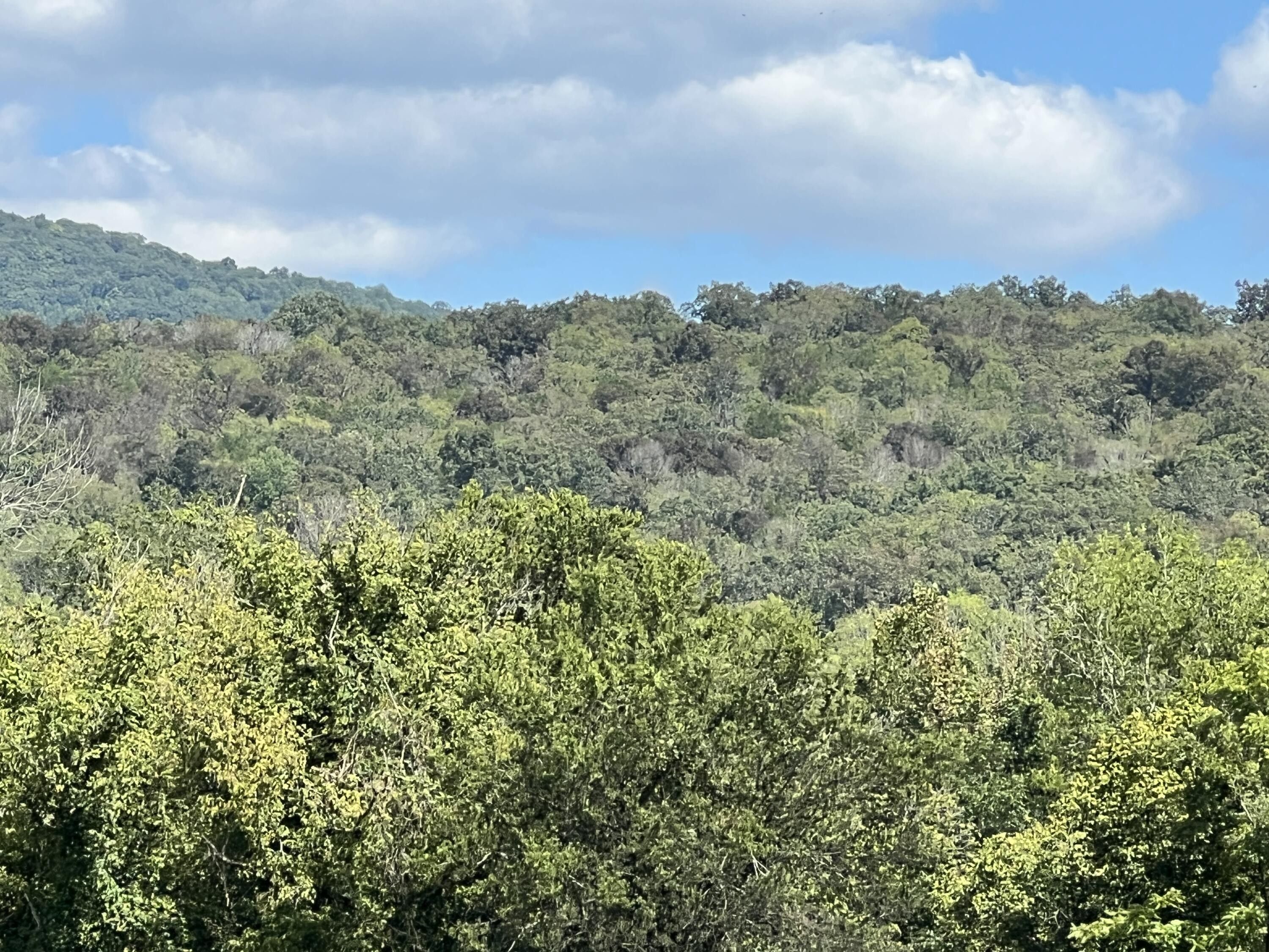 South Pittsburg, Marion County, TN Undeveloped Land for sale Property