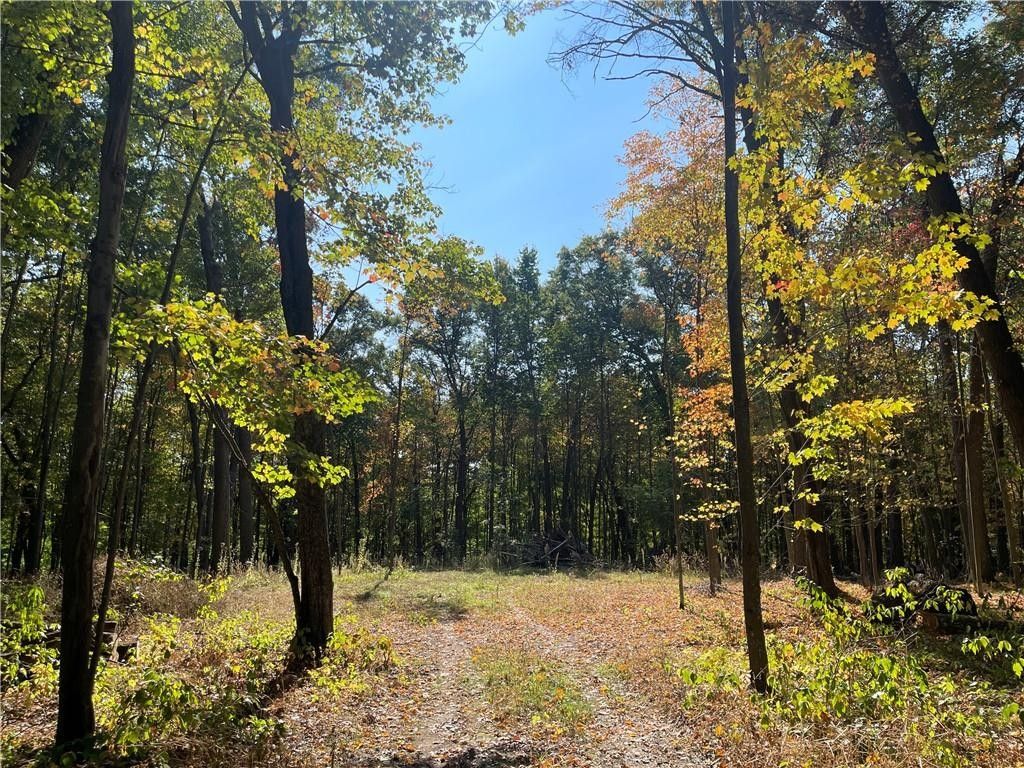 Fall Creek, Eau Claire County, WI Undeveloped Land for sale Property ID 417744638 LandWatch