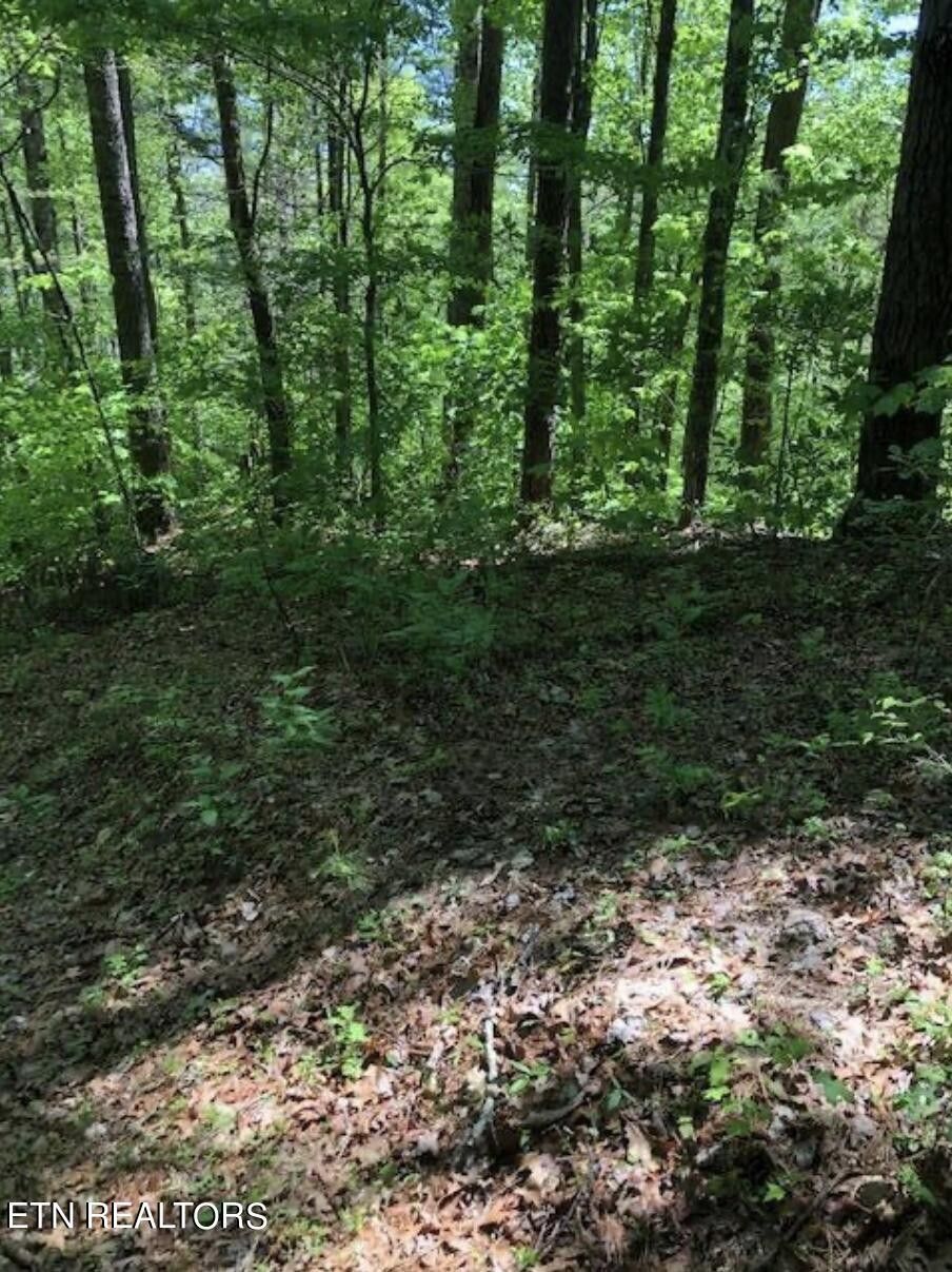 Walland, Blount County, TN for sale Property ID 417745727 LandWatch