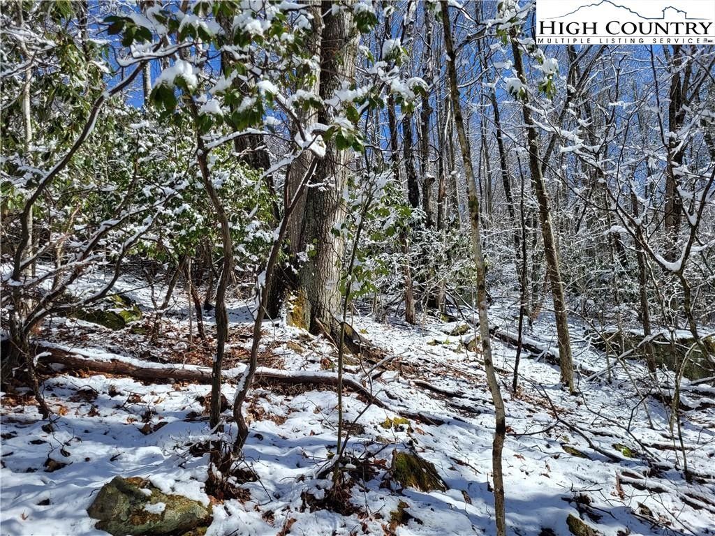 Beech Mountain, Watauga County, NC Undeveloped Land, Homesites for sale