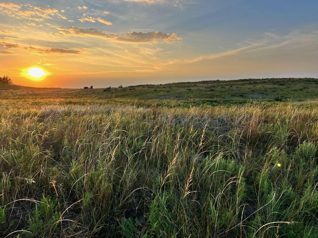 Stanton, Stanton County, NE Farms and Ranches for sale Property ID