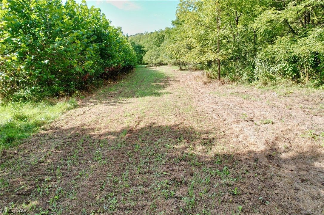 Caldwell, Noble County, OH Undeveloped Land for sale Property ID 417747487 LandWatch