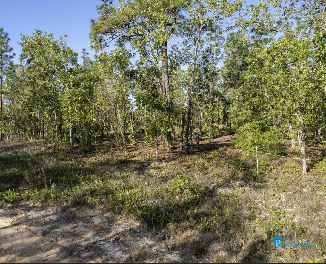 Keystone Heights, Clay County, FL Undeveloped Land, Homesites for sale