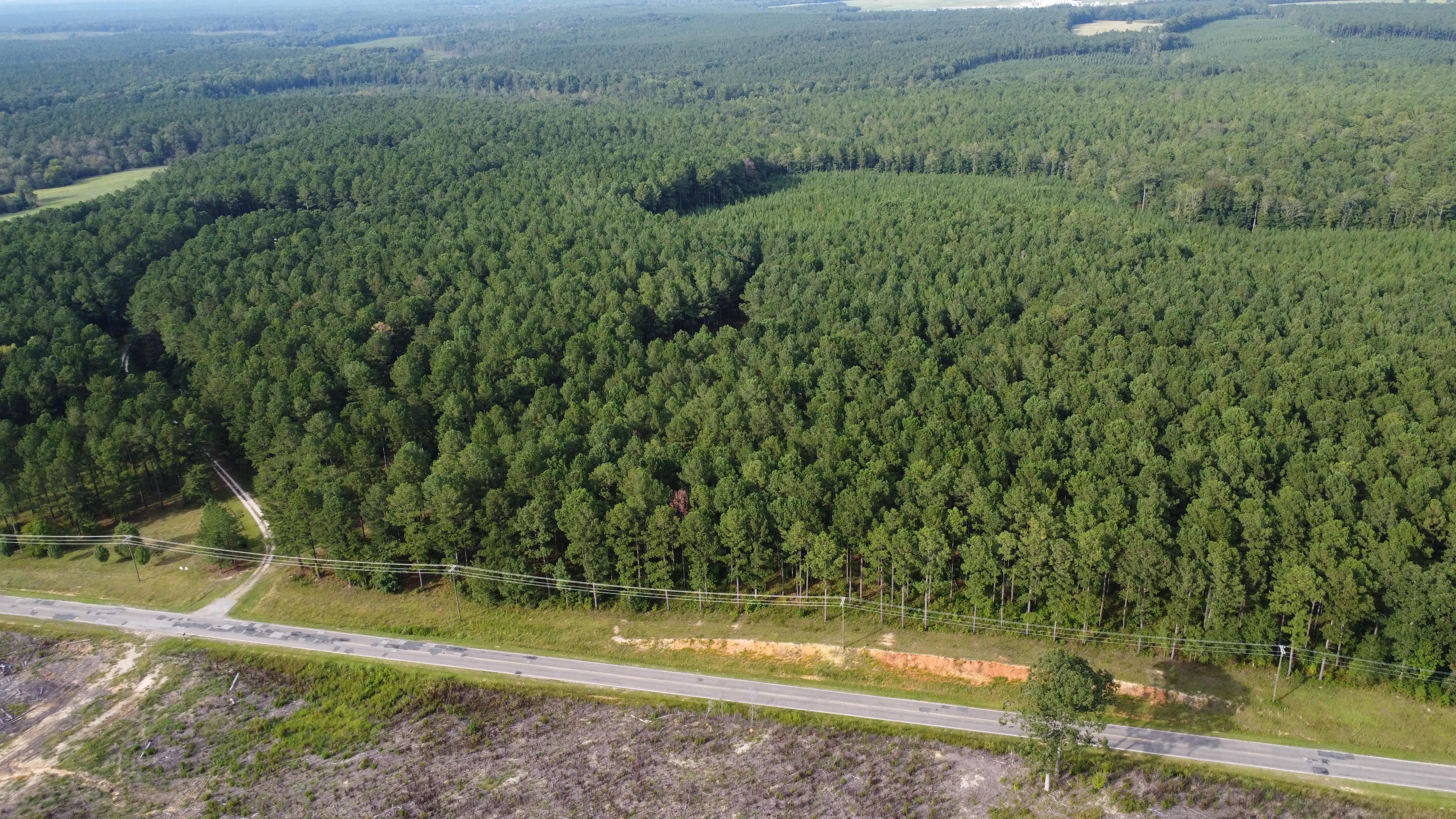 2169 Daniel Avenue, Ward, SC 29166 MLS 569876 LandWatch