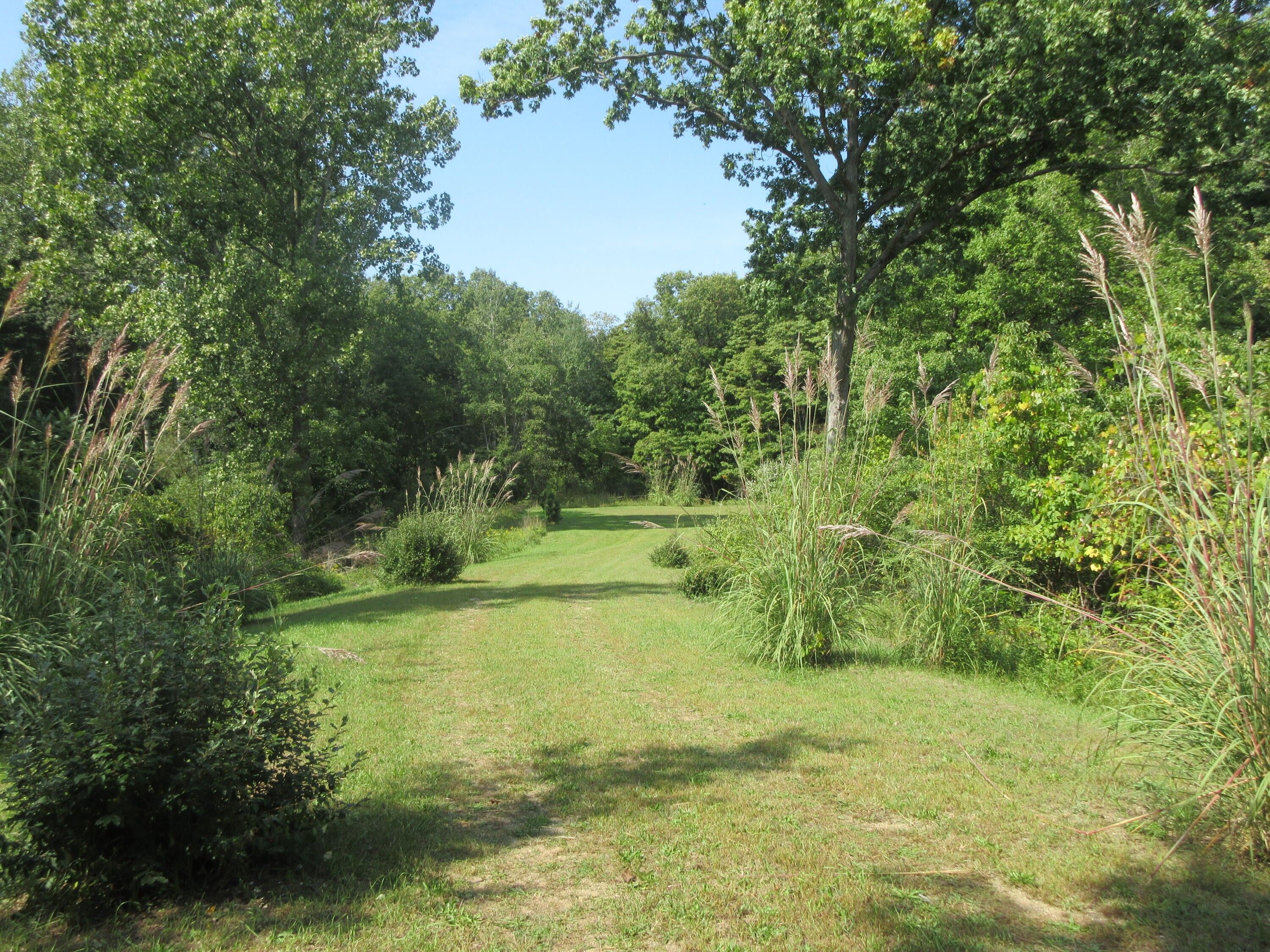 Gobles, Van Buren County, MI Undeveloped Land, Homesites for sale