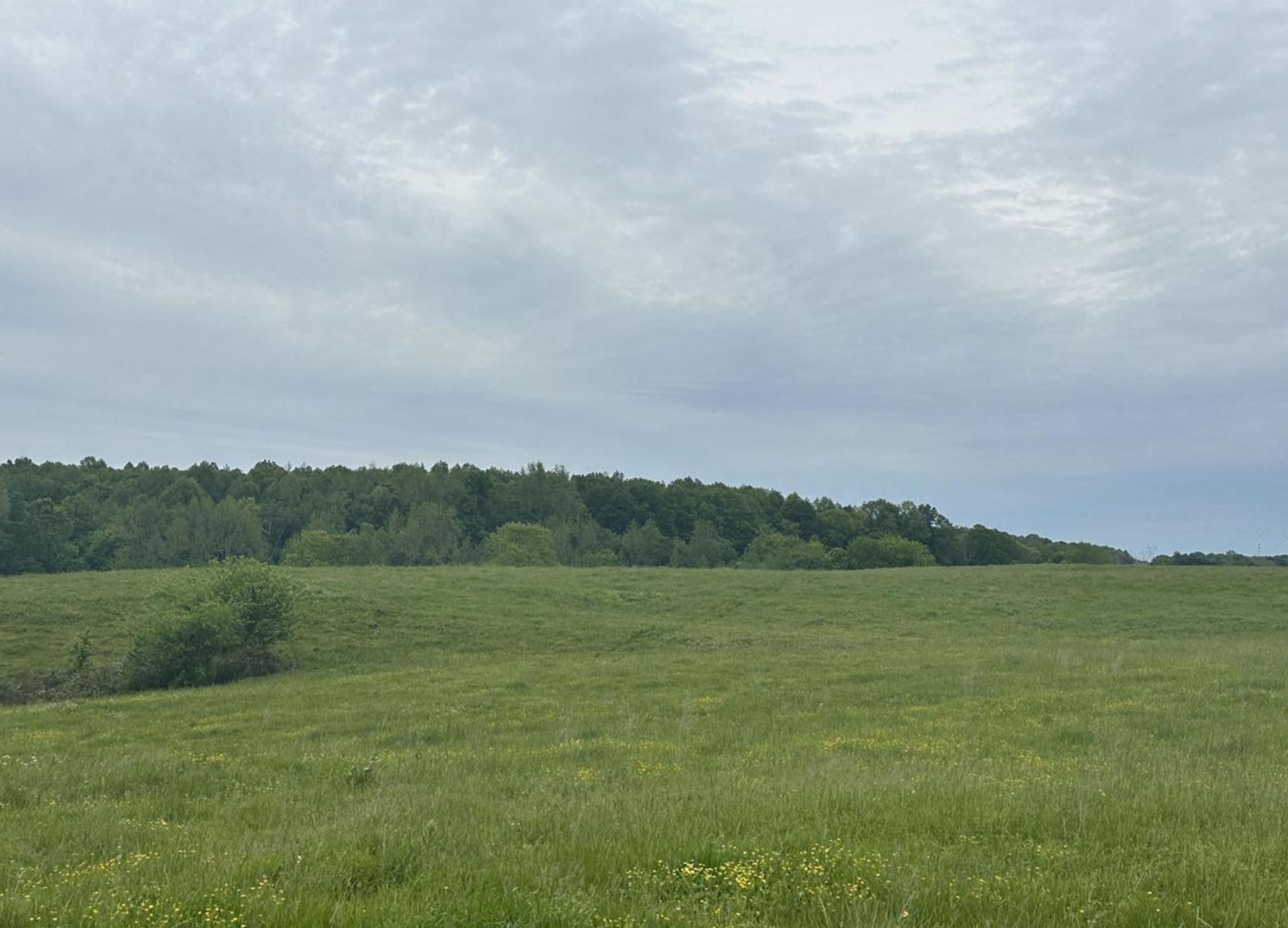 15 Cranford Road, Arab, AL 35016 MLS 1833411 LandWatch