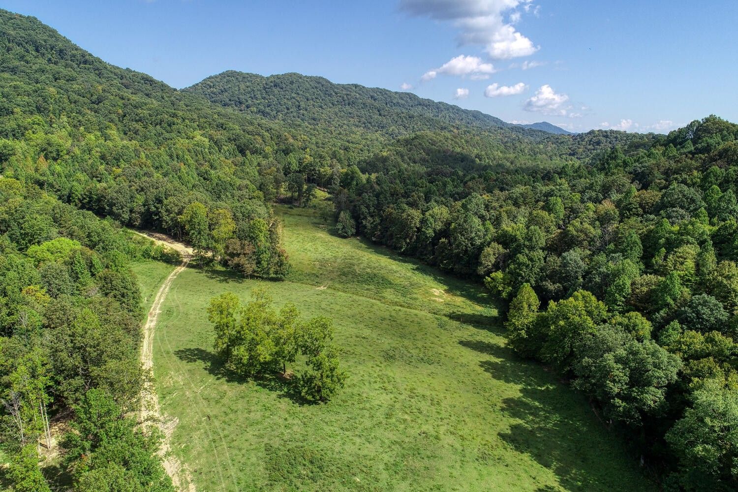 Rogersville, Hawkins County, TN Undeveloped Land for sale Property ID