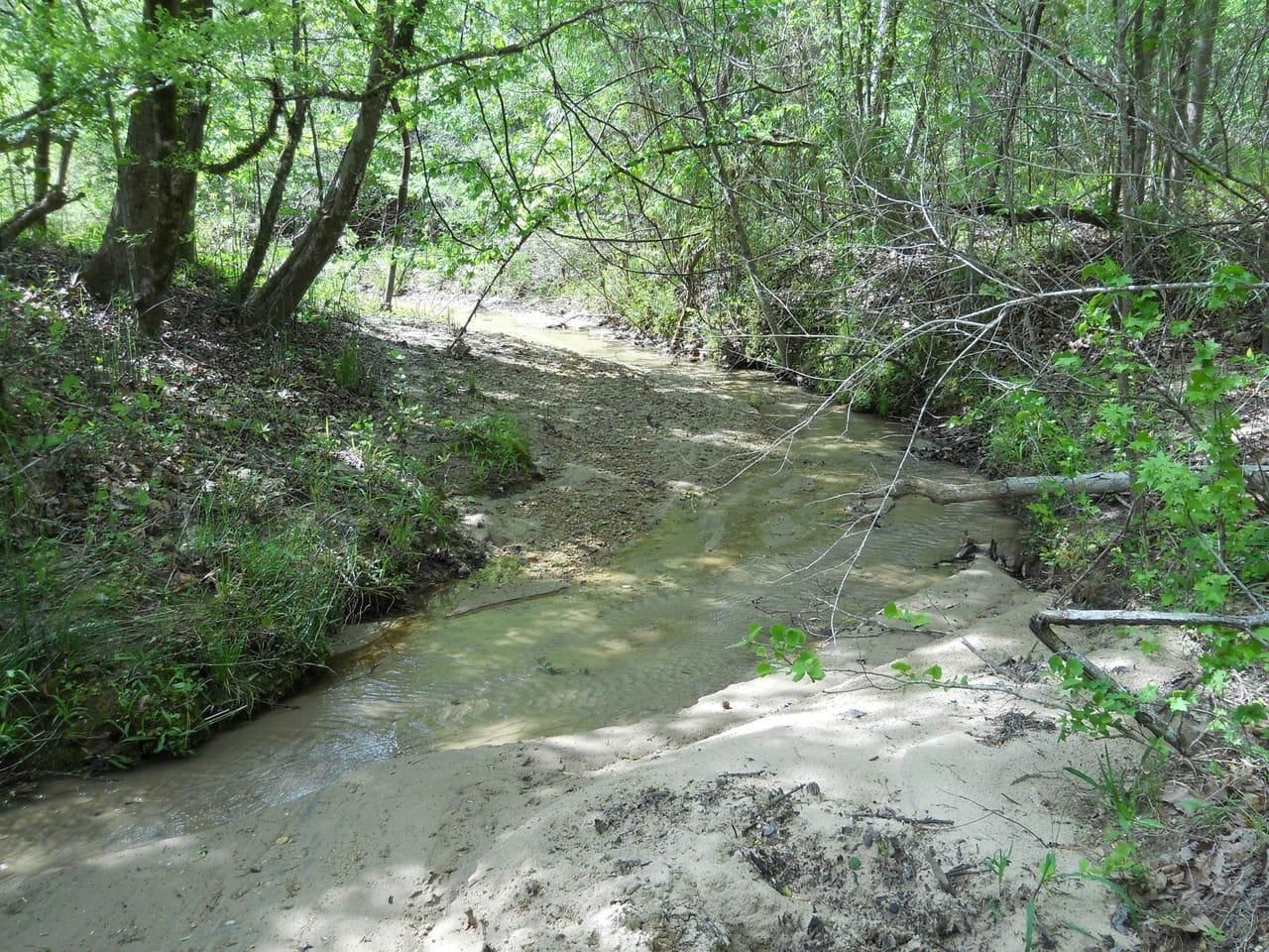 Woodville, Wilkinson County, MS Timberland Property, Hunting Property