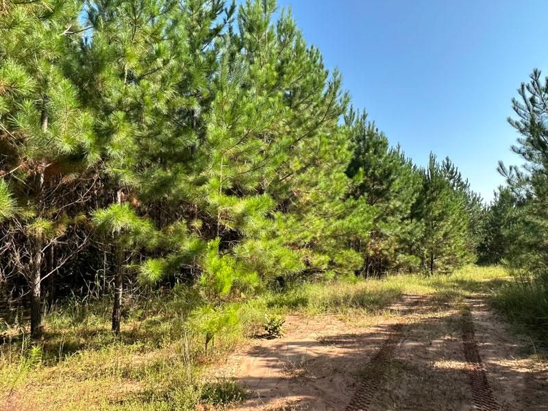 Mayview Road, Sandersville, GA 31082 LandWatch