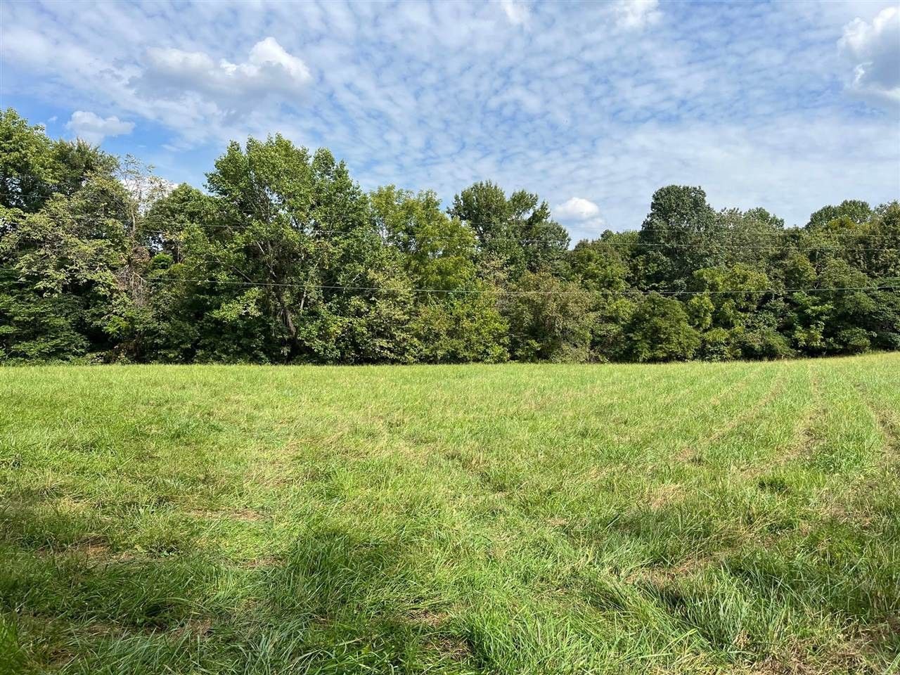 Scottsville, Allen County, KY Undeveloped Land for sale Property ID