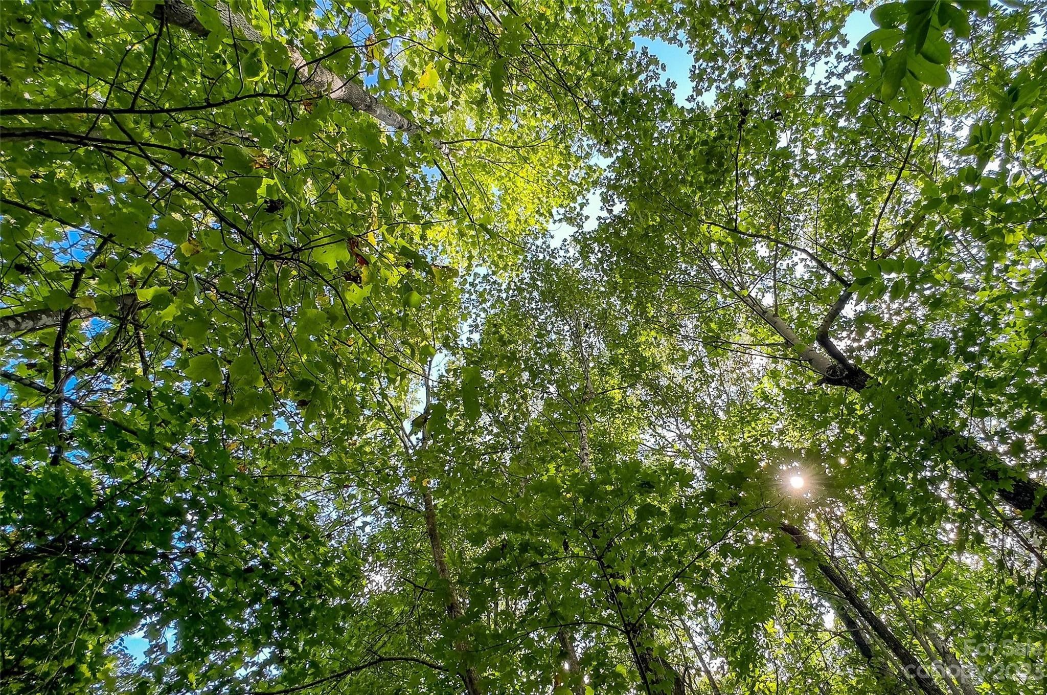 0000 Arcadia Falls Way, Black Mountain, NC 28711 MLS 4069387 LandWatch