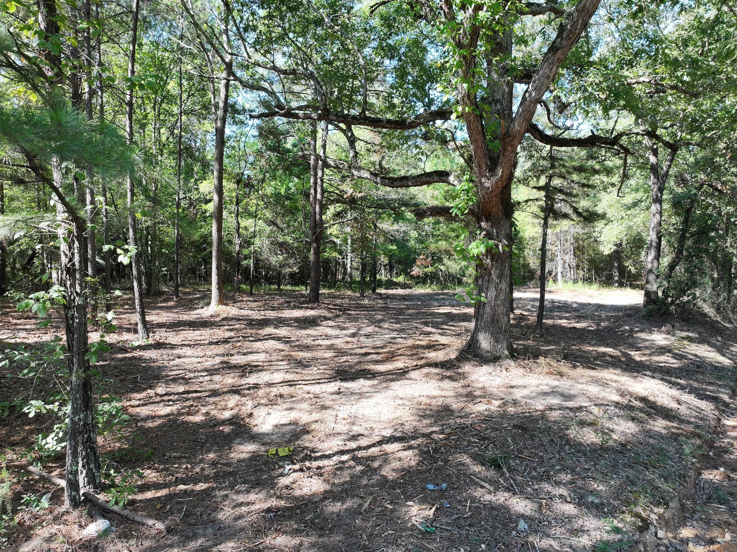 Amity, Pike County, AR Recreational Property, Timberland Property