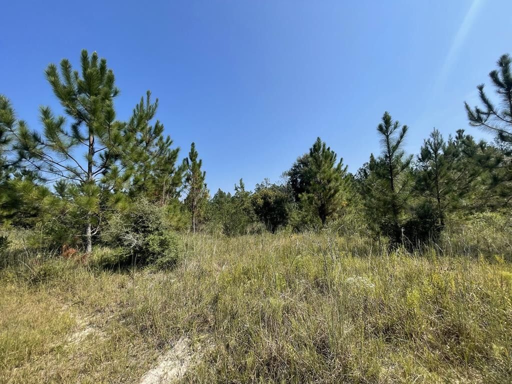 Agricola, County, MS Undeveloped Land, Homesites for sale