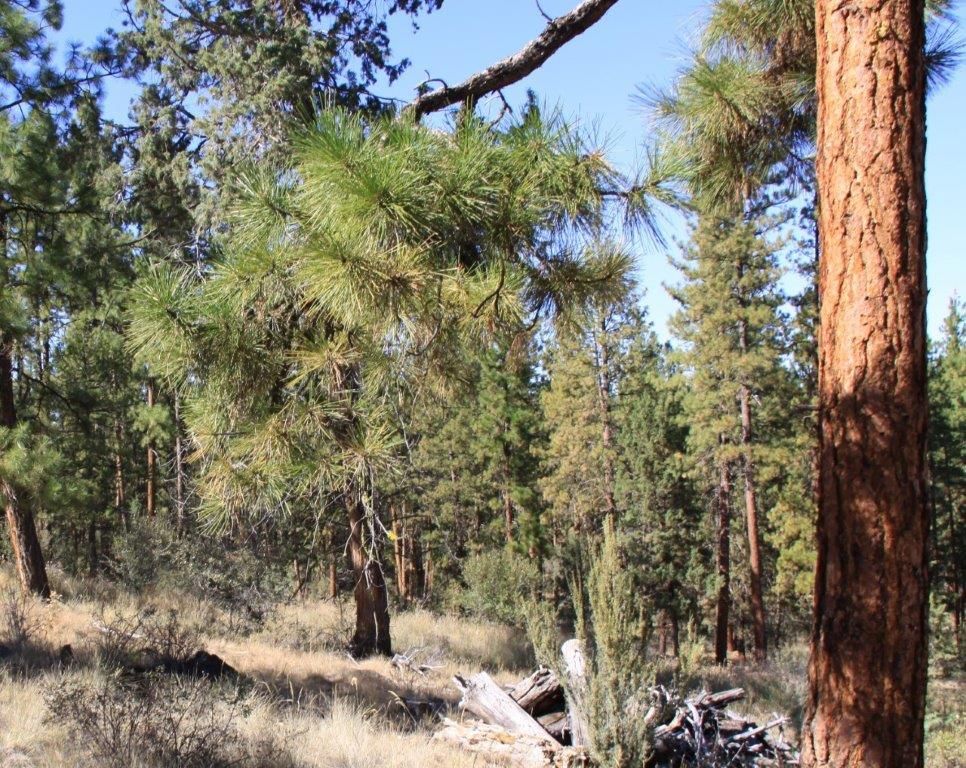 Bonanza, Klamath County, OR Recreational Property, Undeveloped Land