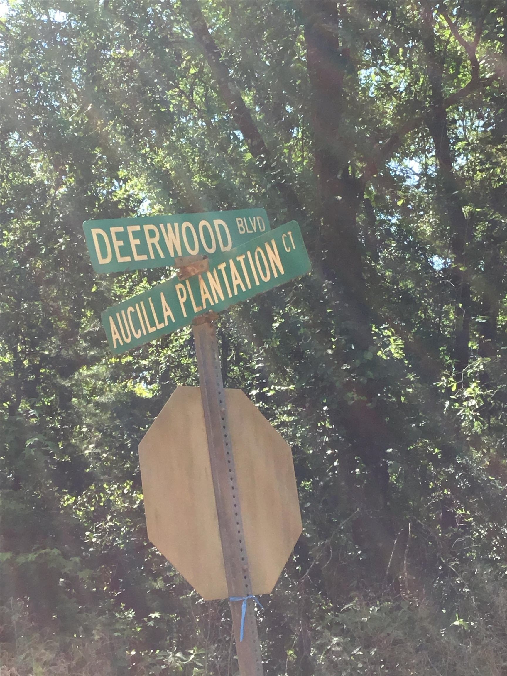 Greenville, Jefferson County, FL Undeveloped Land for sale Property ID 417749919 LandWatch