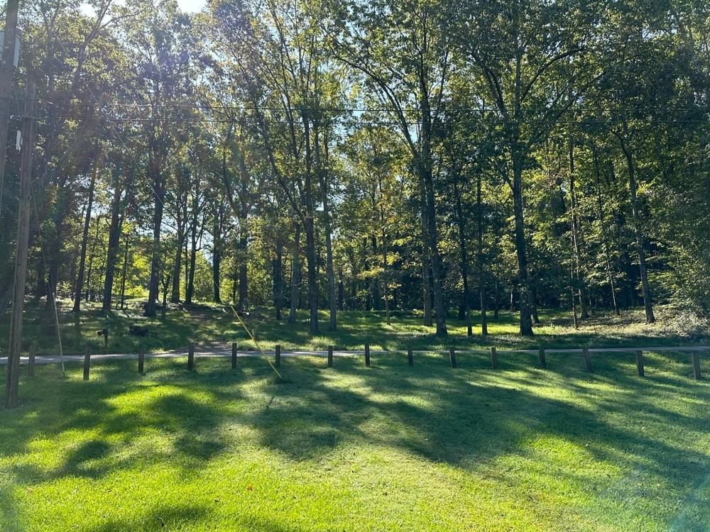 Decatur, County, AL Recreational Property, Riverfront Property