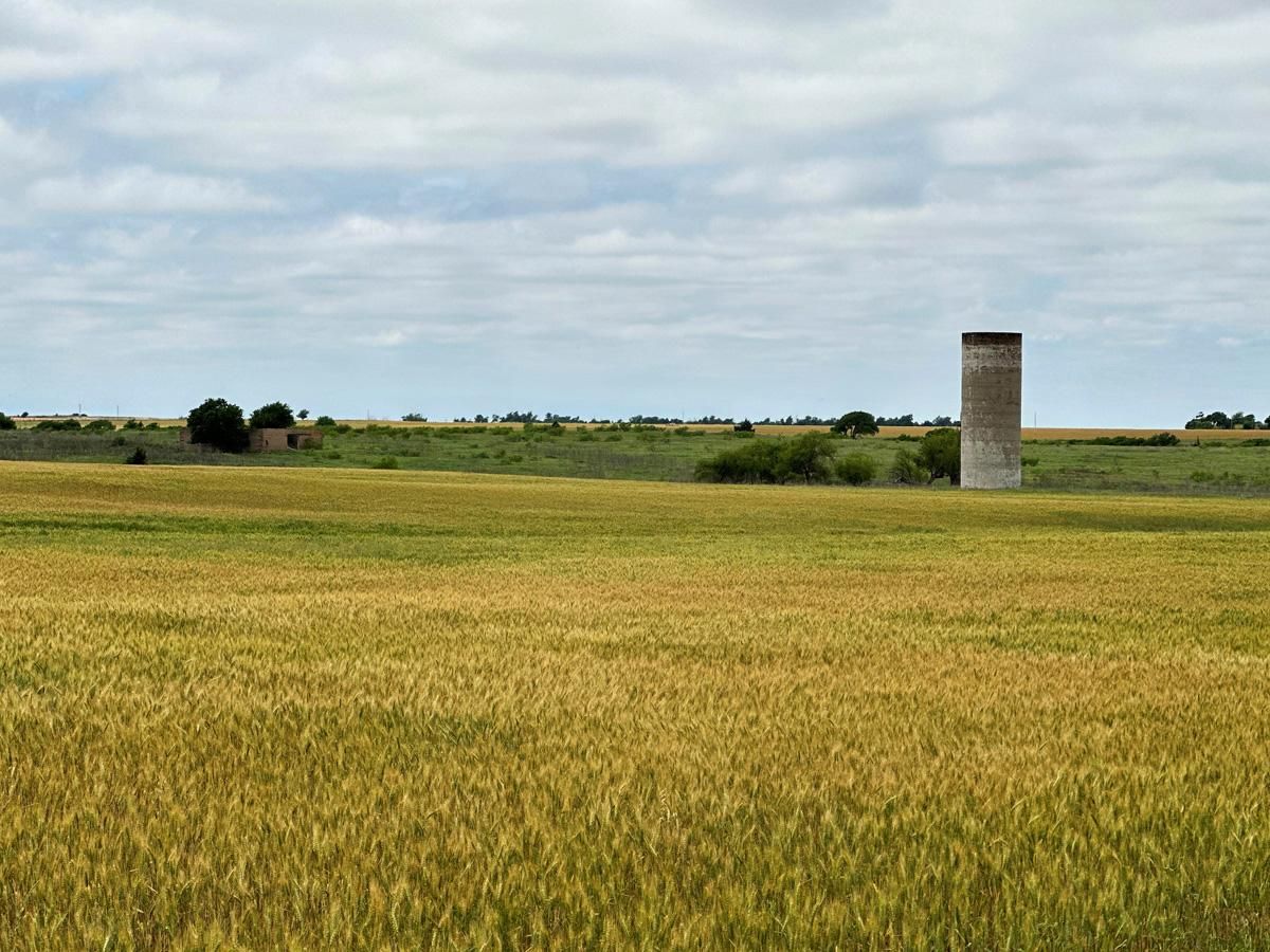 Tipton, Tillman County, OK Farms and Ranches, Undeveloped Land, Hunting