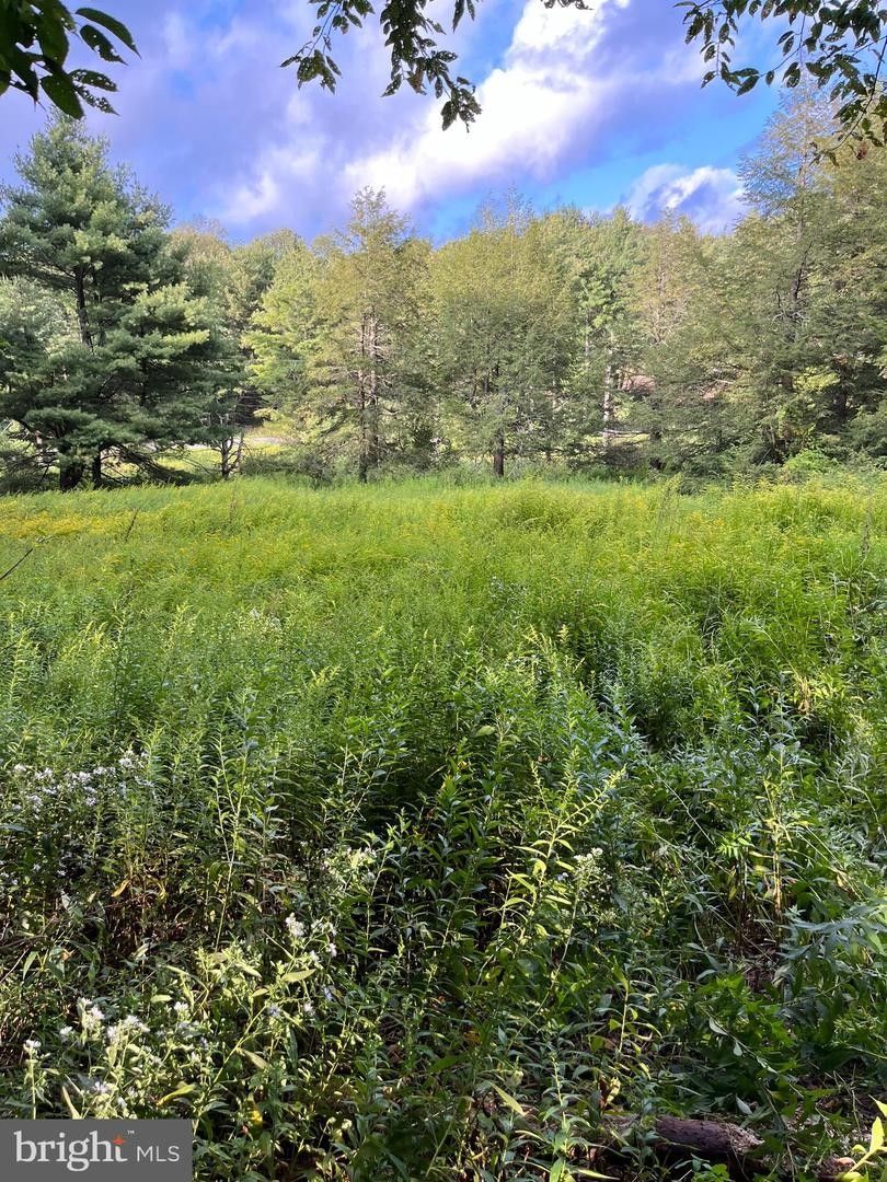 Frostburg, Garrett County, MD Farms and Ranches, Homesites for sale Property ID 417750411