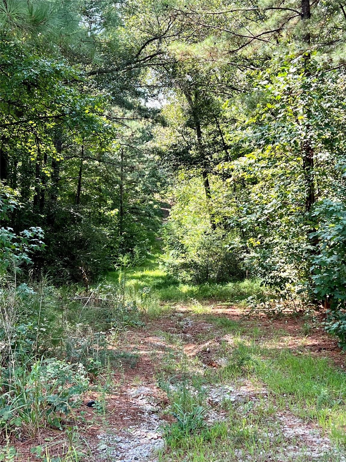 Lancaster, Lancaster County, SC Undeveloped Land, Homesites for sale