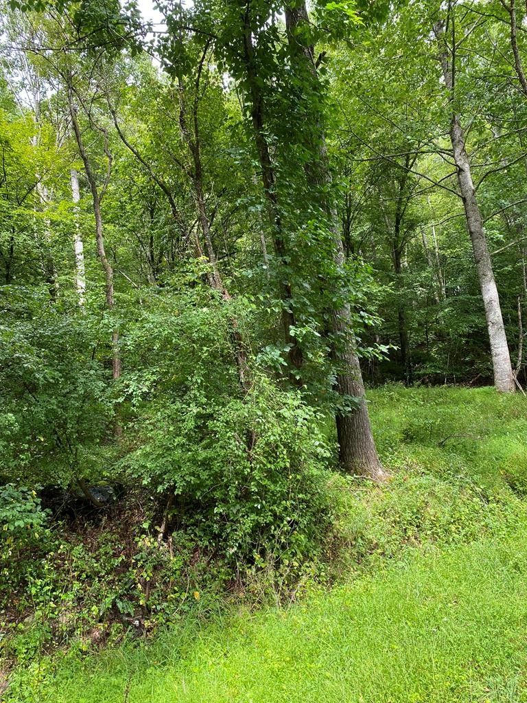 Independence, Grayson County, VA Farms and Ranches, Homesites for sale