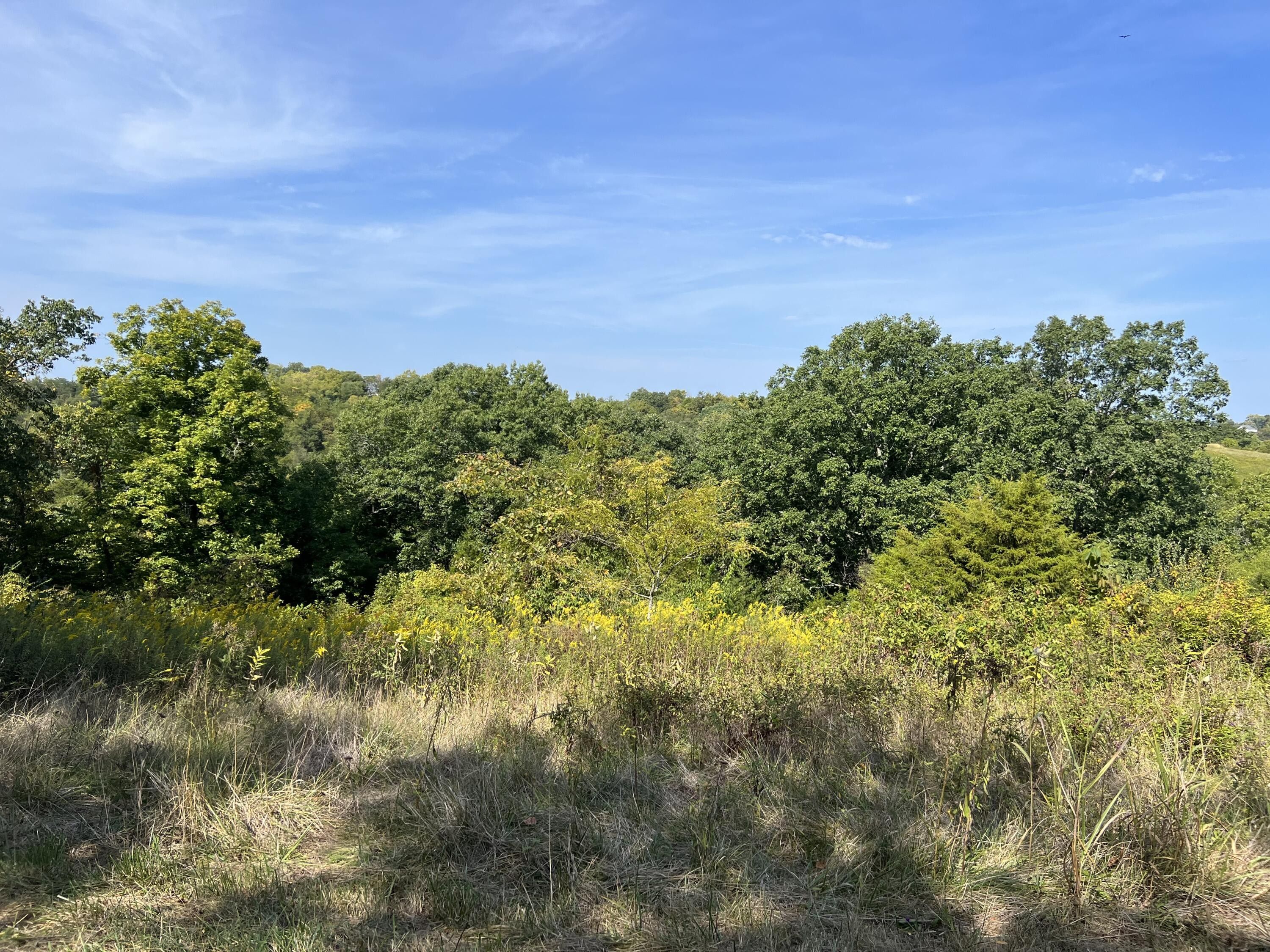 Owenton, Owen County, KY Farms and Ranches for sale Property ID