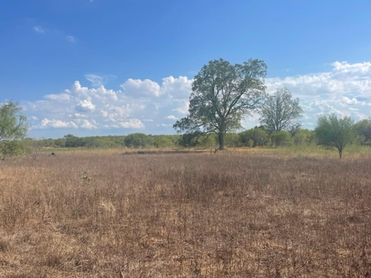 Floresville, Wilson County, TX Undeveloped Land for sale Property ID