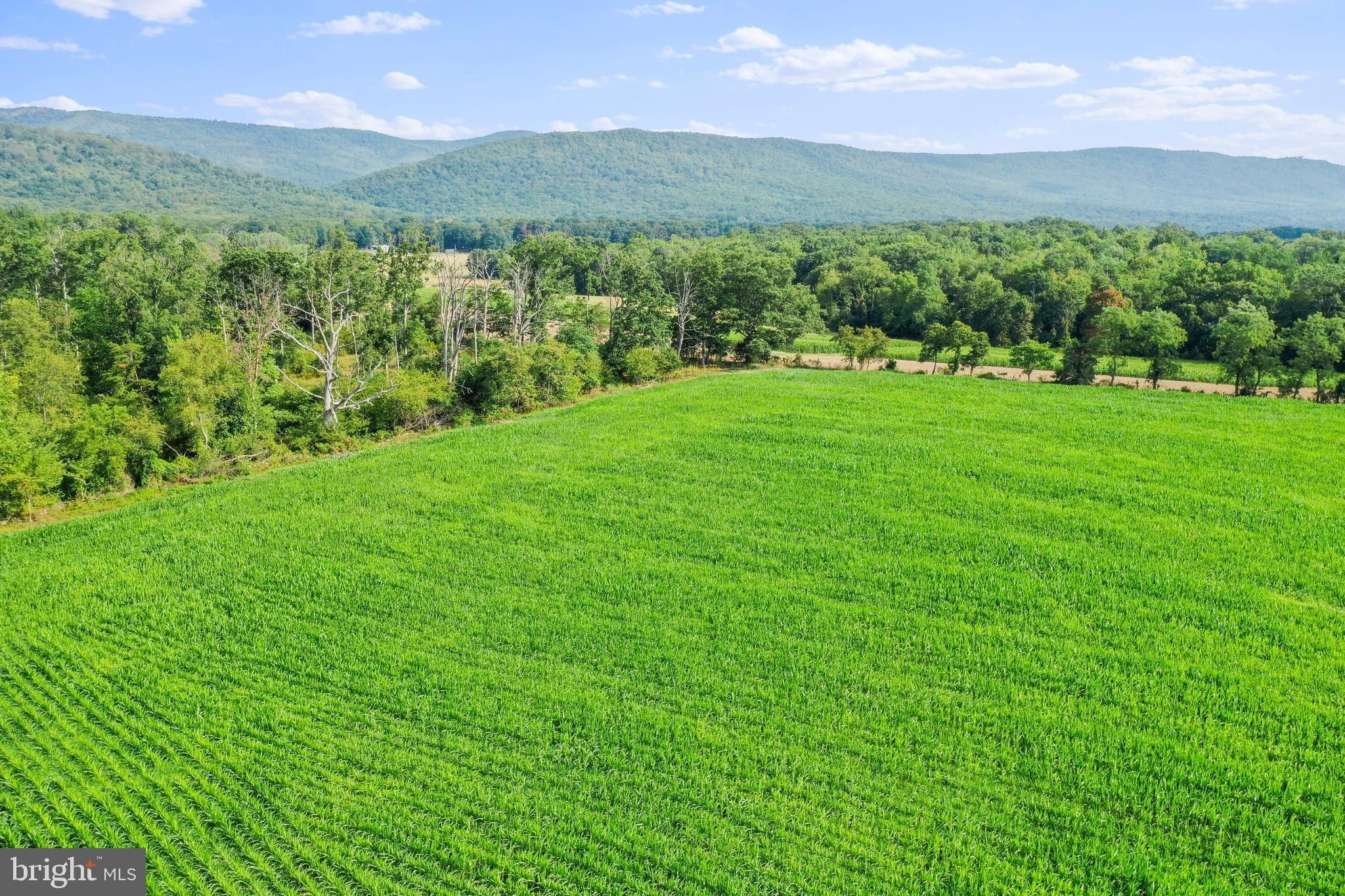 Woodstock, Shenandoah County, VA Undeveloped Land for sale Property ID