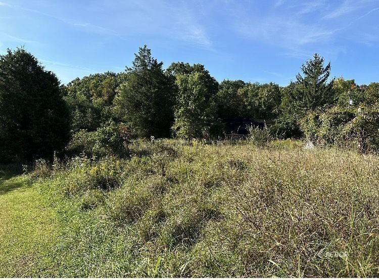 Long Bottom, Meigs County, OH Undeveloped Land for sale Property ID