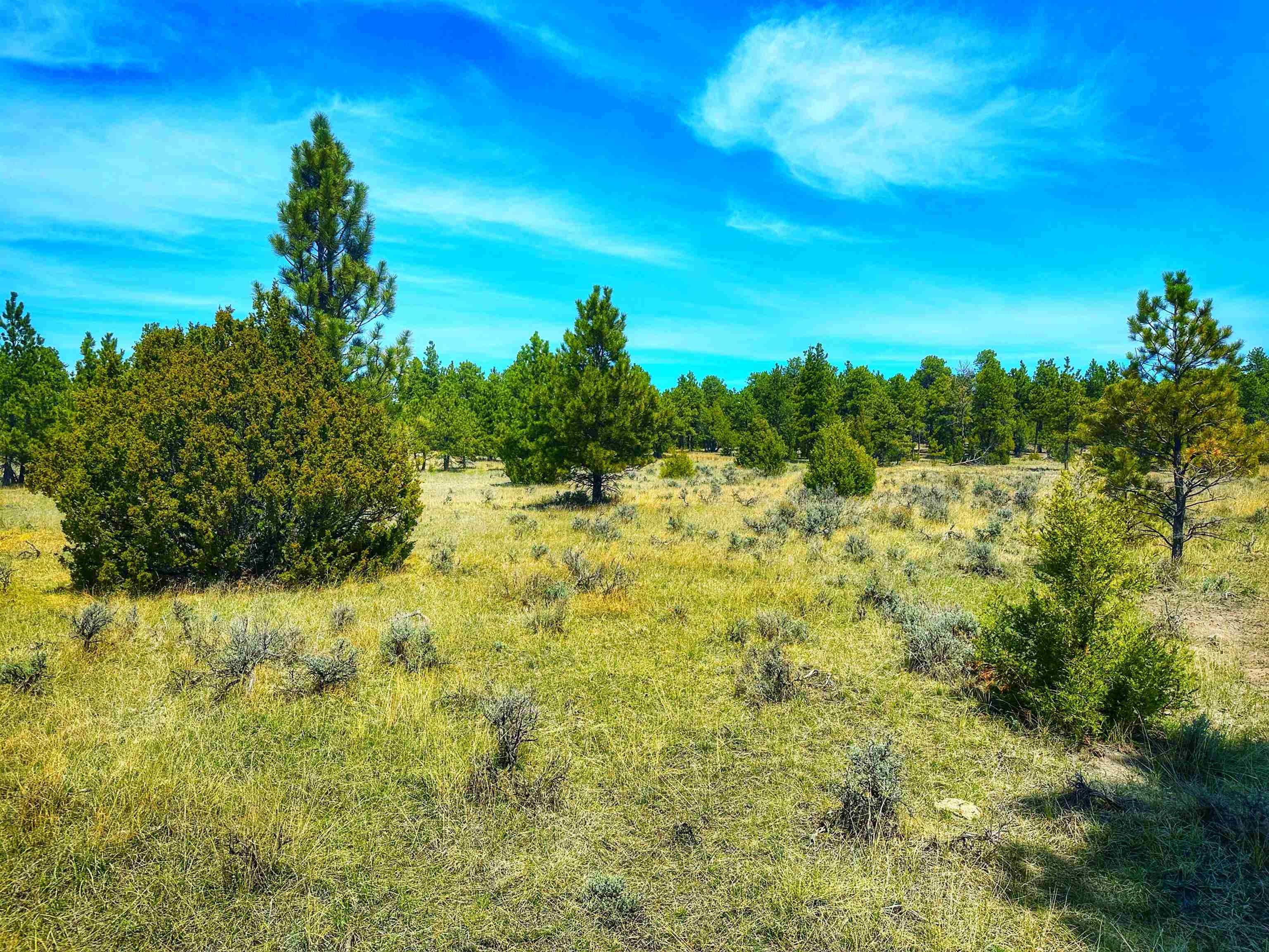 TBD Highway 16, Upton, WY 82730 MLS 76006 LandWatch
