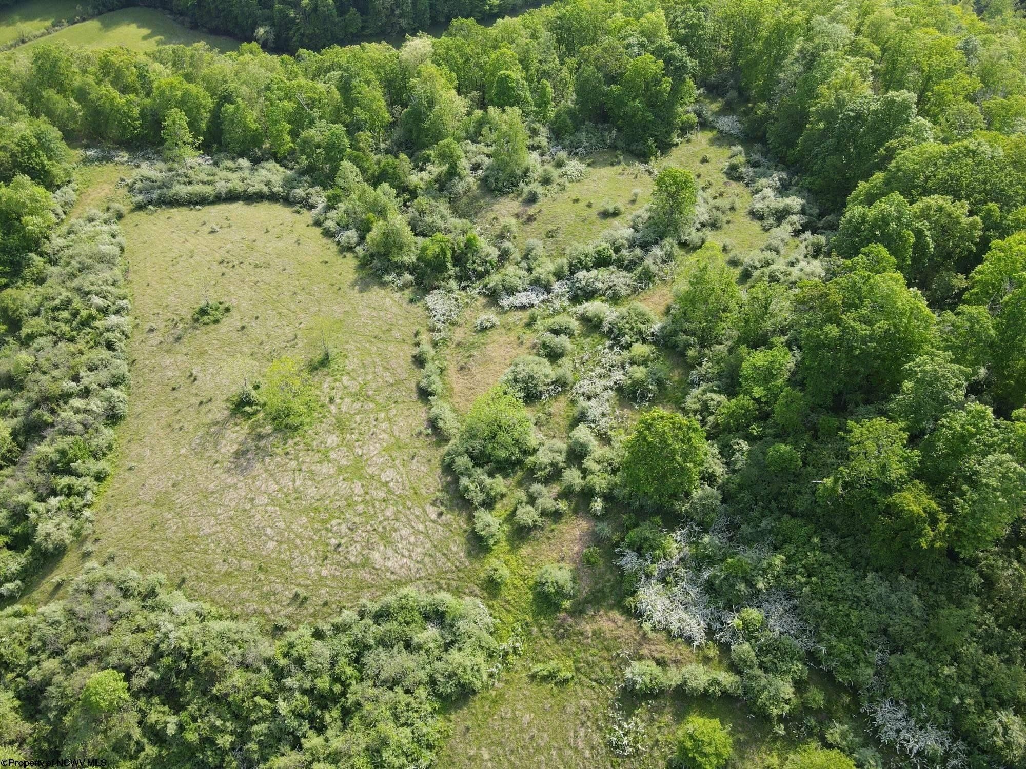 Orlando, Lewis County, WV Farms and Ranches for sale Property ID