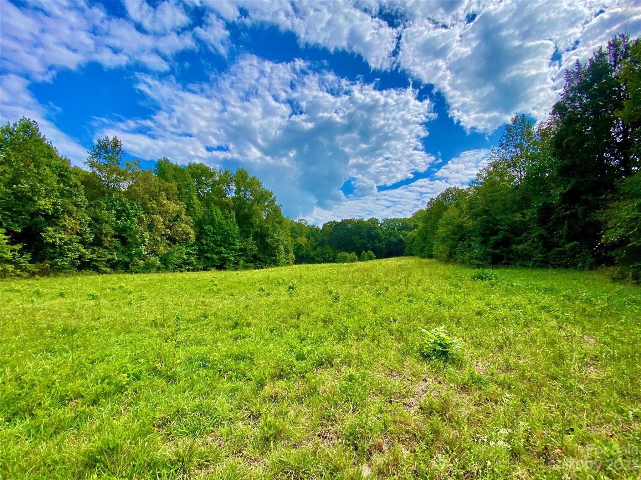 Salisbury, Rowan County, NC Undeveloped Land for sale Property ID