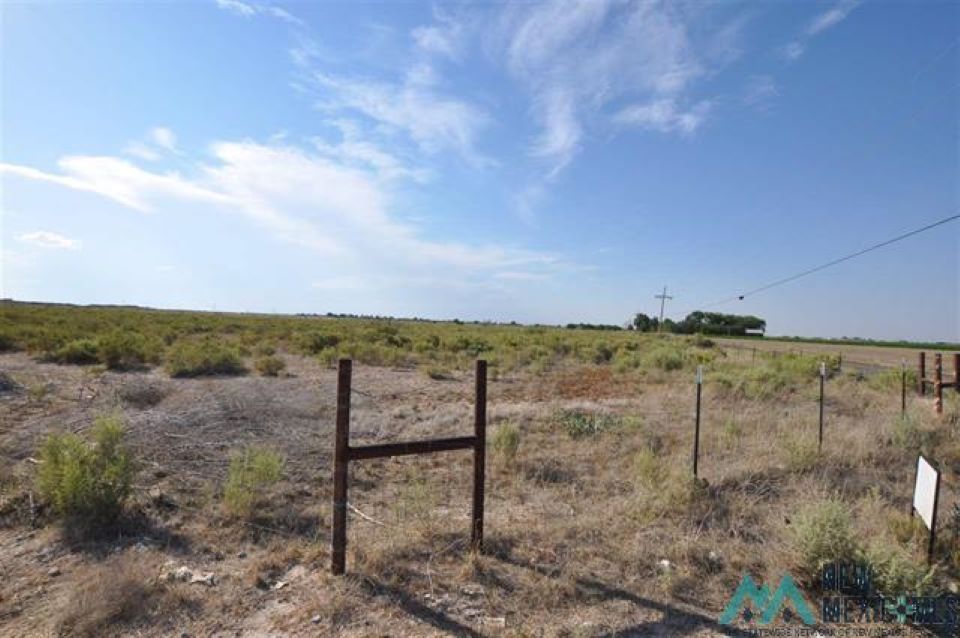 Artesia, Eddy County, NM Undeveloped Land, Homesites for sale Property