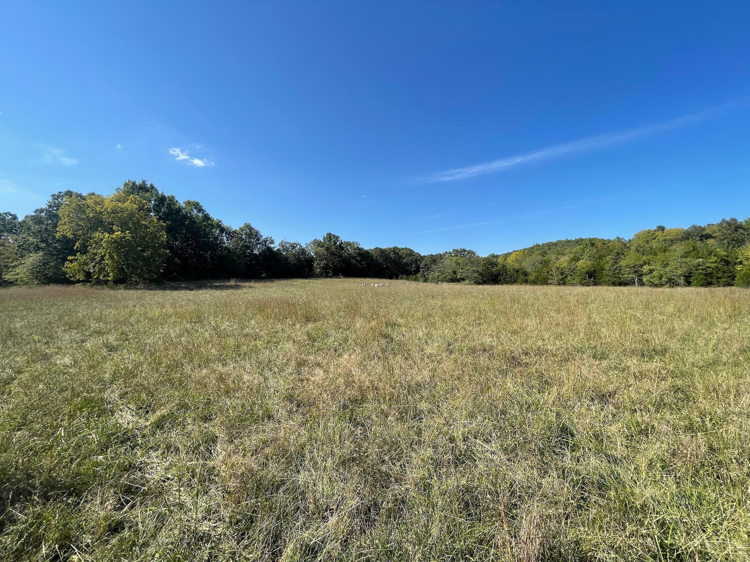 Richland, Laclede County, MO Recreational Property, Undeveloped Land