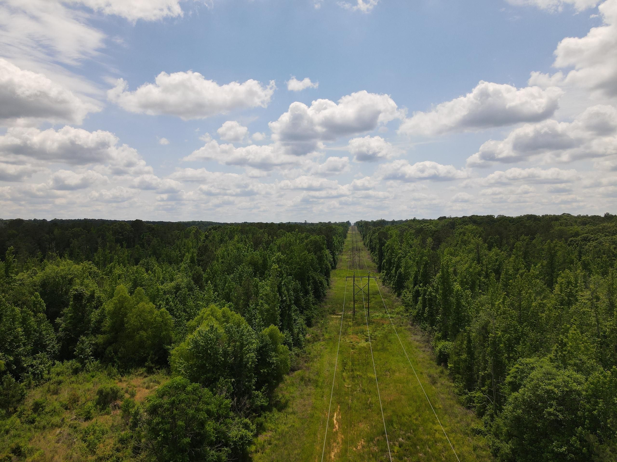 Stephens, Ouachita County, AR Recreational Property, Timberland