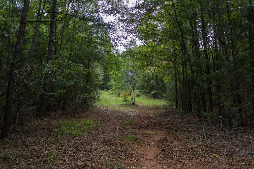 Pine Mountain, Troup County, GA for sale Property ID 417763050 LandWatch