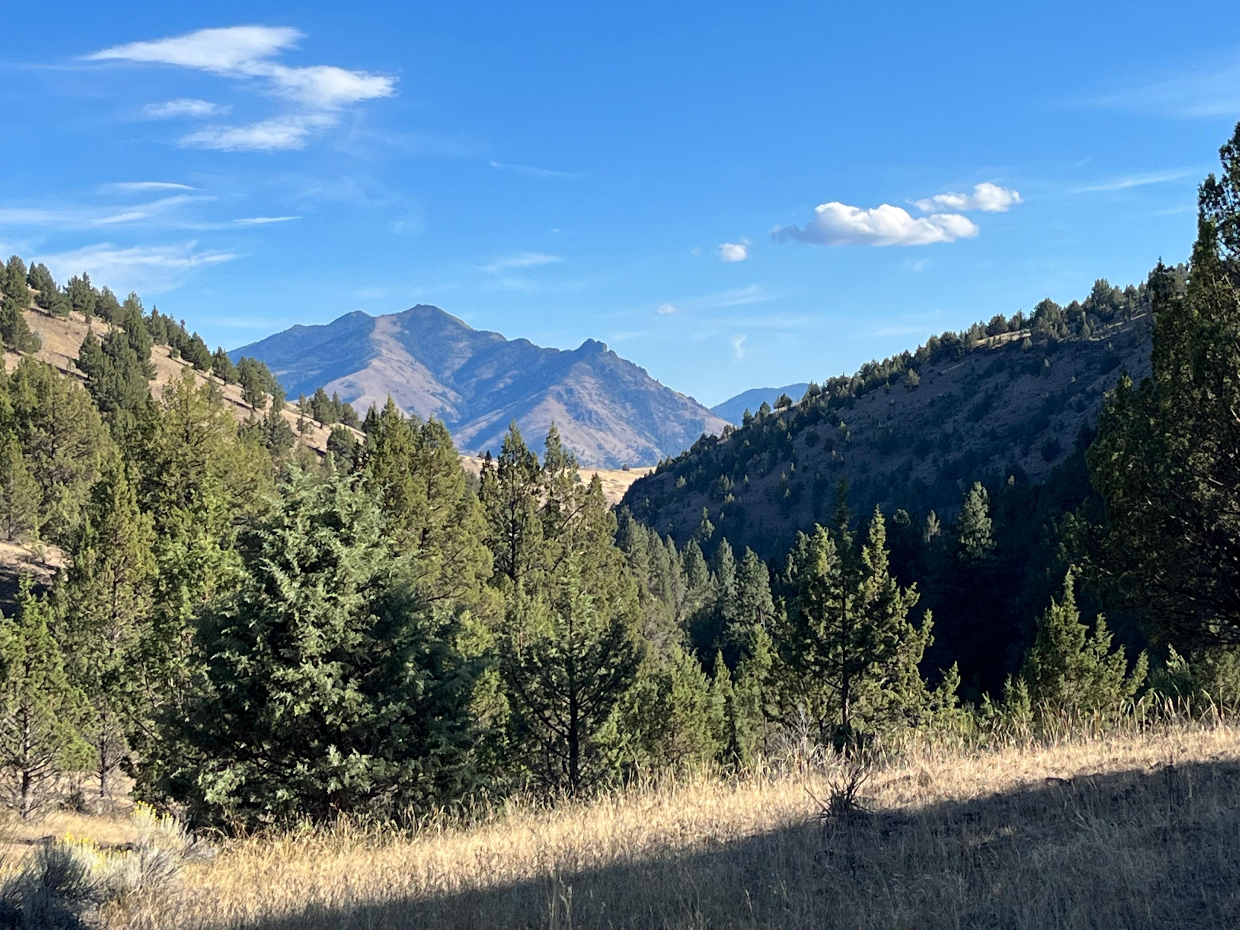 Mount Vernon, Grant County, OR Recreational Property, Undeveloped Land