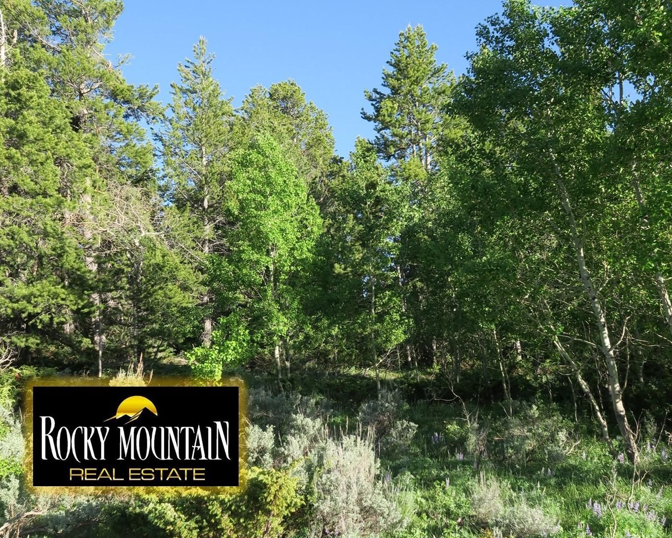 Casper Mountain, Natrona County, WY Recreational Property, Undeveloped